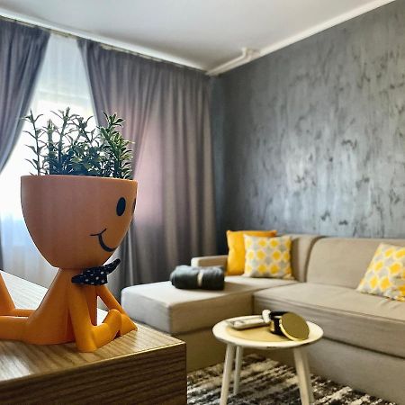 S&S Apartment Studio At Ground Floor Timisoara Town !!! Parcare La Locatie !! Экстерьер фото