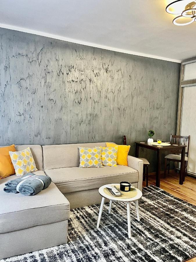 S&S Apartment Studio At Ground Floor Timisoara Town !!! Parcare La Locatie !! Экстерьер фото