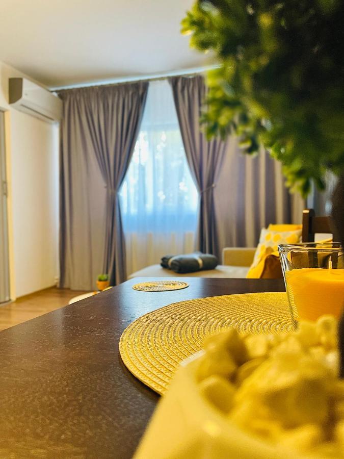 S&S Apartment Studio At Ground Floor Timisoara Town !!! Parcare La Locatie !! Экстерьер фото