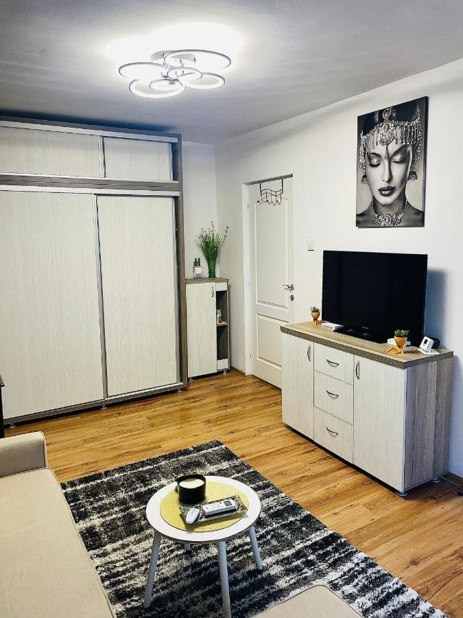 S&S Apartment Studio At Ground Floor Timisoara Town !!! Parcare La Locatie !! Экстерьер фото
