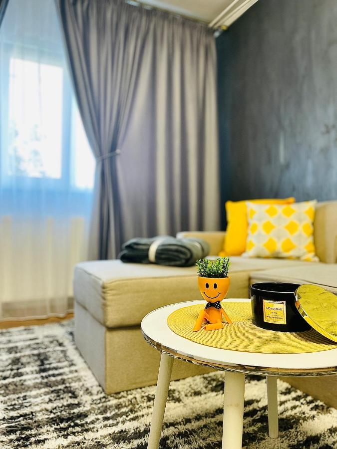 S&S Apartment Studio At Ground Floor Timisoara Town !!! Parcare La Locatie !! Экстерьер фото
