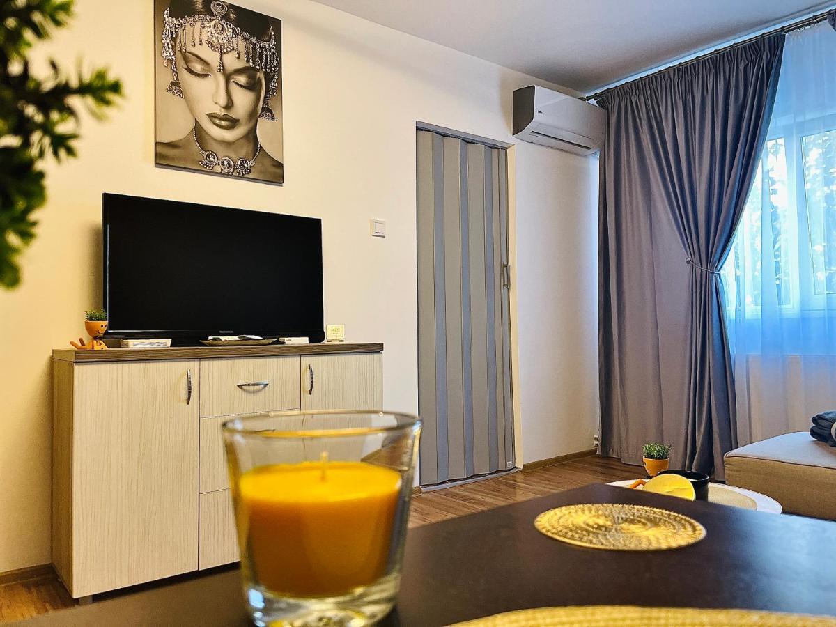 S&S Apartment Studio At Ground Floor Timisoara Town !!! Parcare La Locatie !! Экстерьер фото